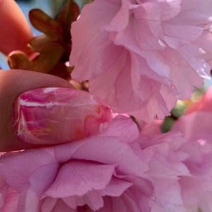Cherry Blossom